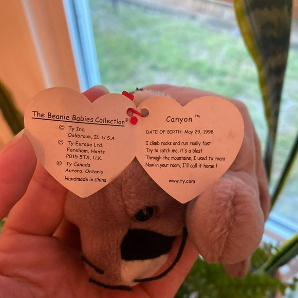 Ty Beanie Baby -  Canyon the Cougar - Style Number #04212 - Picture 4 of 8